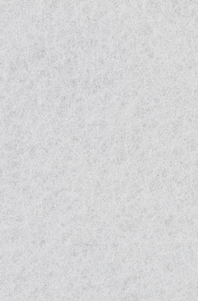 Almohadilla de vellón blanca Bosch EXPERT N880 para limpieza.